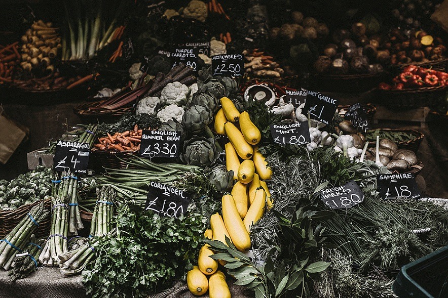 食品垃圾包装,替代包装材料